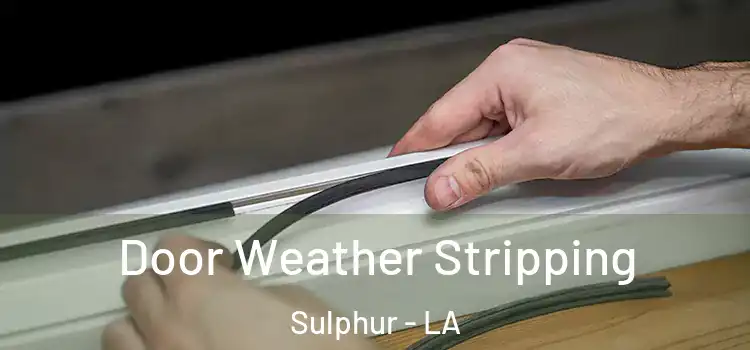 Door Weather Stripping Sulphur - LA