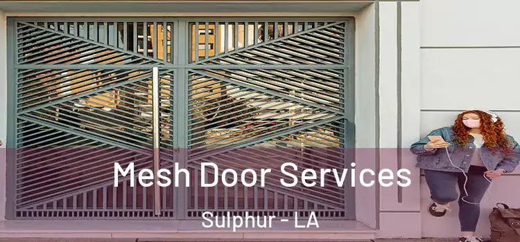 Mesh Door Services Sulphur - LA